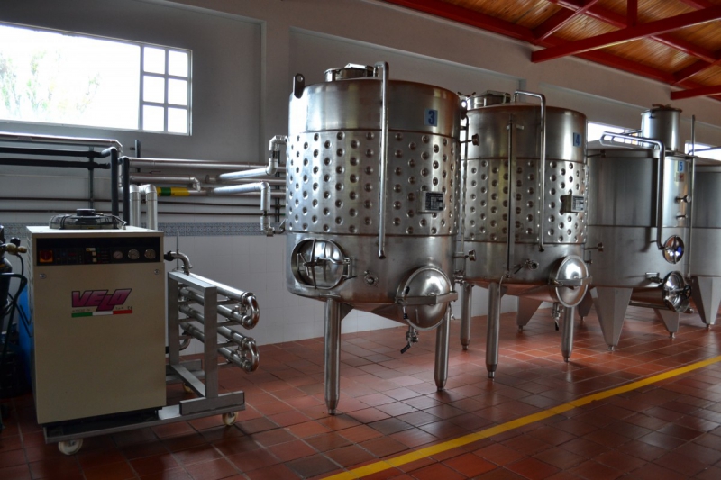 cave-CASTAGNIERS-min_wine_production_cantine_winery_drink_alcohol_vine_beverage-902036